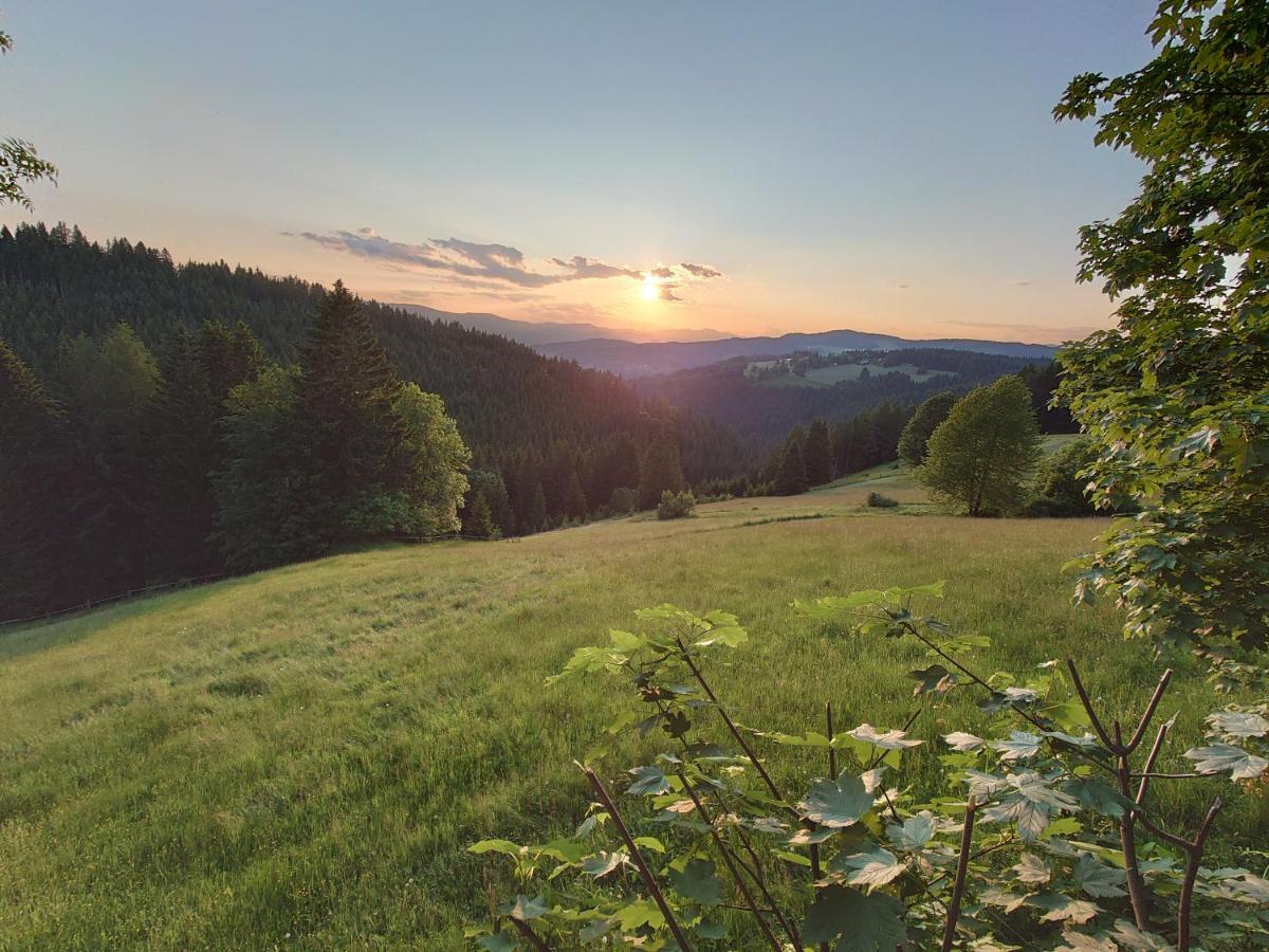 Willa Forsthaus Pracken Wolfsberg Zewnętrze zdjęcie